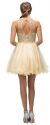 Beaded Bust Tulle Skirt Short Homecoming Party Dress back